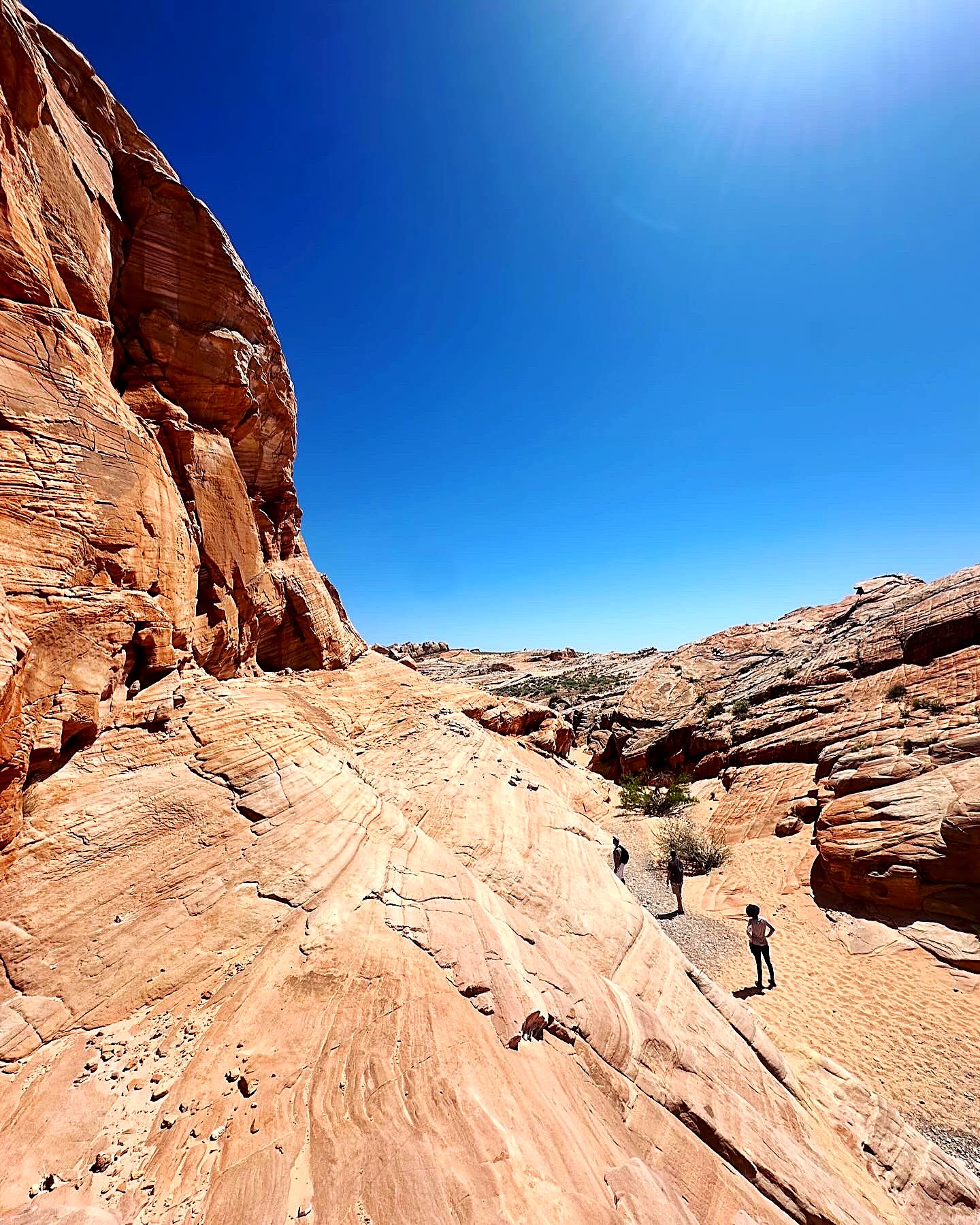 Sweeping red and cream sandstone slopes under a deep blue desert sky