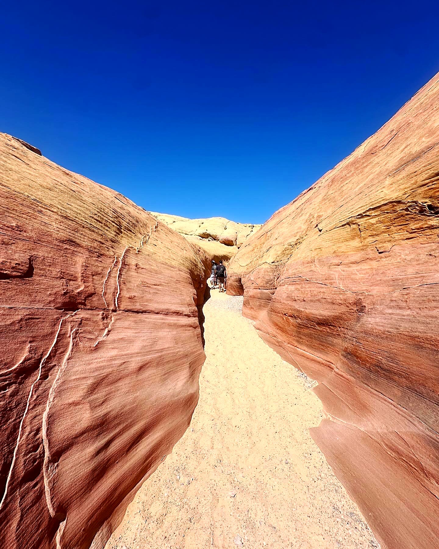 Narrow red sandstone slot canyon with pale sand floor and blue sky above