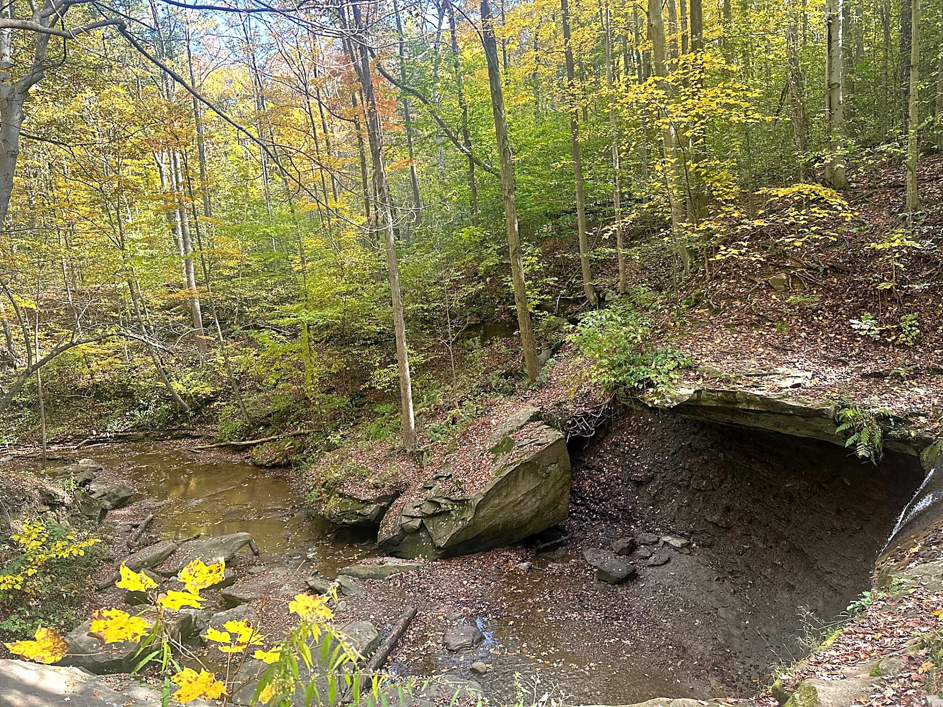 Sandstone ledge overhanging a creek bed in an autumn ravine