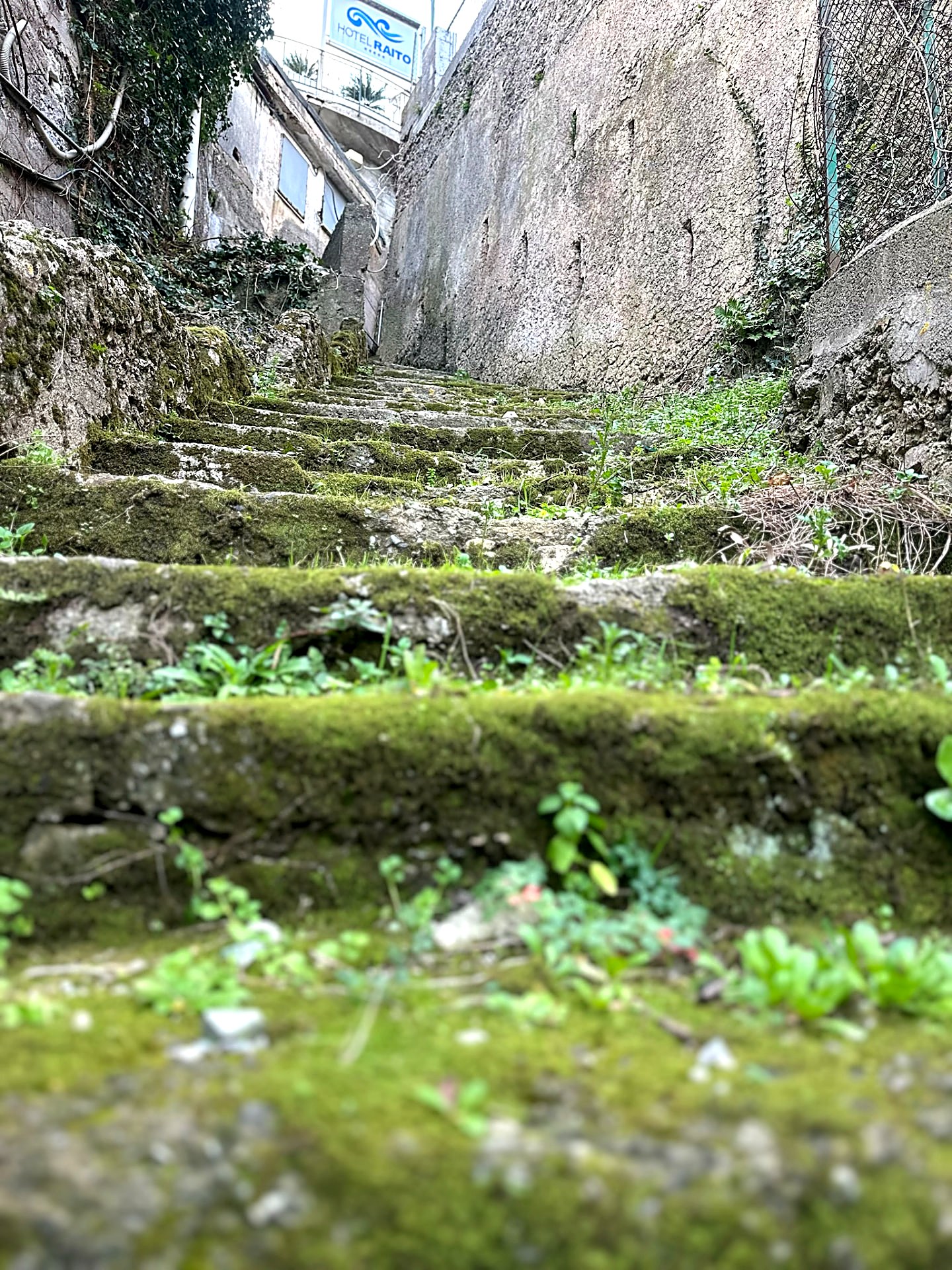 Worn stone stairs thick with moss climbing between old walls